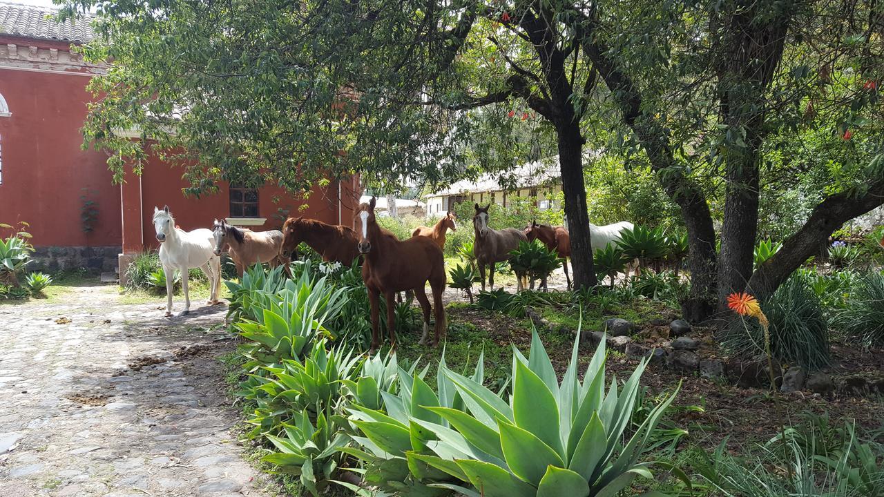 Hacienda Guachalá Cayambe Exterior foto